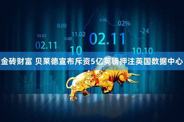 金砖财富 贝莱德宣布斥资5亿英镑押注英国数据中心