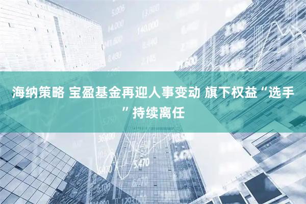 海纳策略 宝盈基金再迎人事变动 旗下权益“选手”持续离任