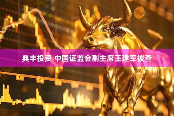 典丰投资 中国证监会副主席王建军被查